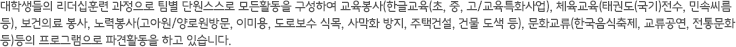 파견시기 와 기간은 7월 ~ 8월(단기 1개월, 중기 2개월), 9월 ~ 11월(중기 2 ~ 3개월)이며, 4인 1팀(IT담당 2명, 언어 담당 1명, 문화담당 1명)으로 구성하여 컴퓨터, 인터넷교육, PC 및 네트워크 정비, 홈페이지 제작 지원, IT Korea 및 우리문화 홍보, IT분야 인적 네트워크 구축 등의 봉사활동을 수행하고 있습니다.