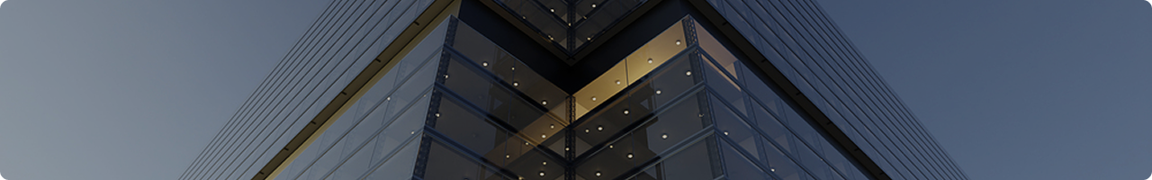 KOICA 해외봉사이후 이미지